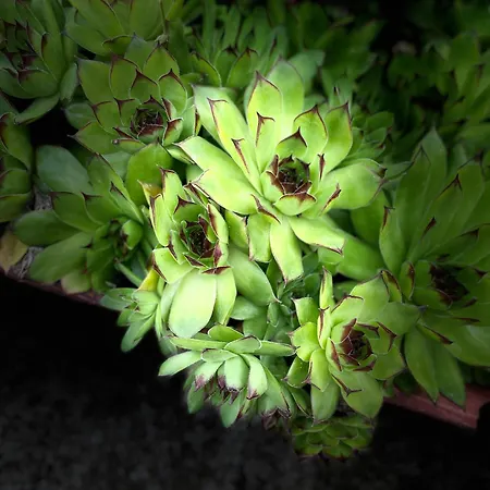 Διαμέρισμα Sobe Lara *