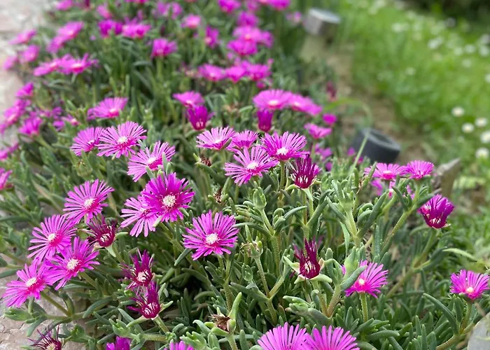 Sobe Lara Appartement Gradacac